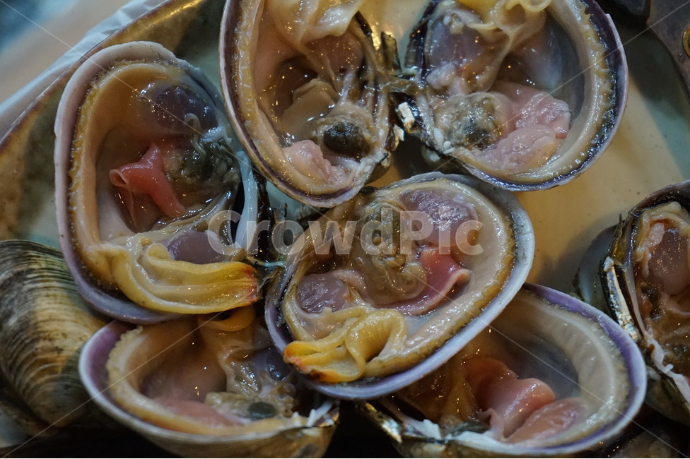 조개구이,조개,키조개,완자,음식,식재료,요리,신선하다,해산물,모듬조개,수산물,씨푸드,해물,food,cook,외식,회식,어패류,식사,가리비,숯불,불,seafood,해물모듬,구이,모듬해물,술안주,그릴,캠핑,싱싱,음식,식재료,요리,food,cook,meal,dishes,food reserves,수산물,해산물,fishery products,seafood