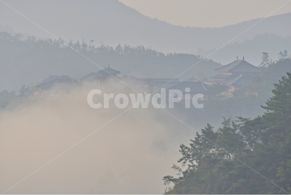 nature,자연,outdoors,옥외,weather,날씨,light,빛,flare,플레어,fog,안개,나주삼한지,삼한지,삼한지일출,여명,아침,해돋이,물안개,운해,자연,풍경,nature,landscape,한국자연풍경,한국자연경관,korea nature landscape