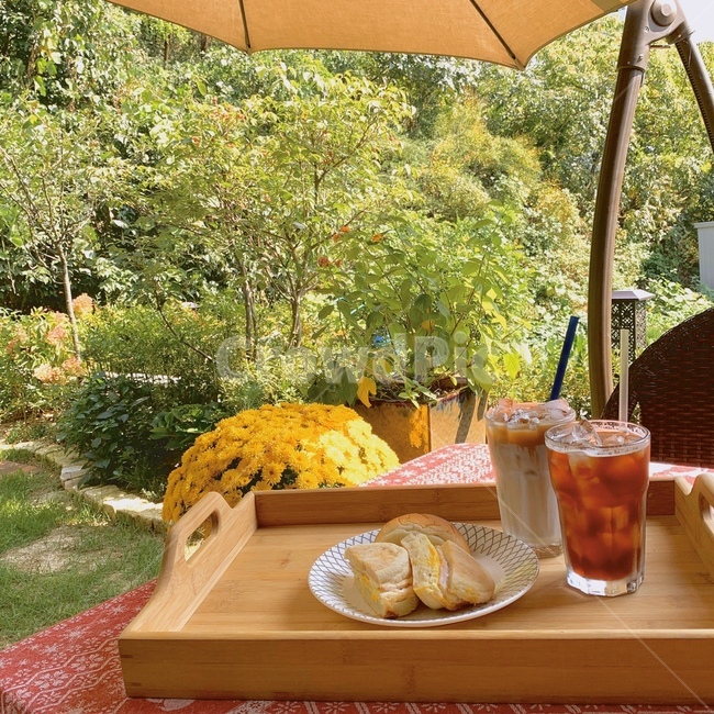 집,주택,마당,봄,피크닉,꽃,브런치,홈카페,house,home,spring,picnic,cafe,homecafe,flower,brunch