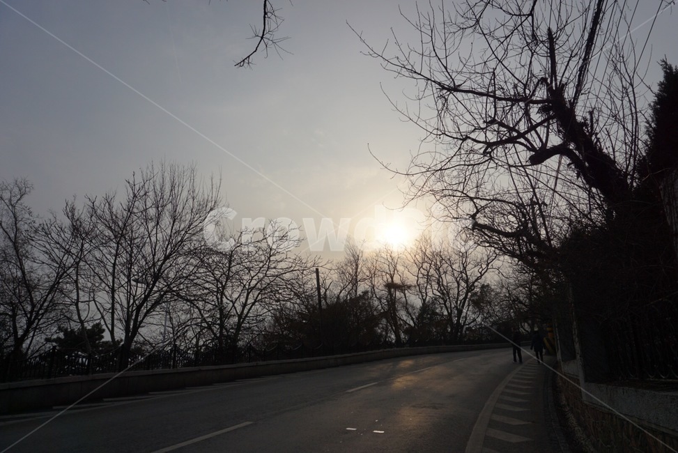human,인간,person,사람,tarmac,타맥,asphalt,아스팔트,flare,플레어,빛,light,오후,경치,풍경,도로,나무,날씨,겨울,자연,풍경,nature,landscape