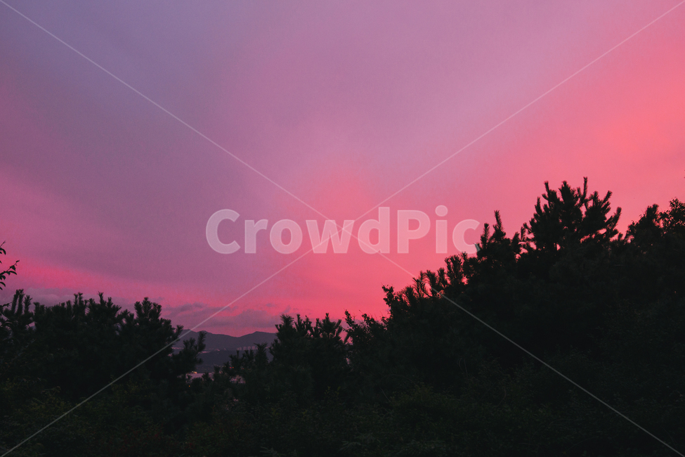 nature,자연,outdoors,sunset,붉은하늘,redsky,새벽,dawn,일몰,sky,하늘,황혼,자연,풍경,nature,landscape,옥외,dusk,red sky,붉은 하늘