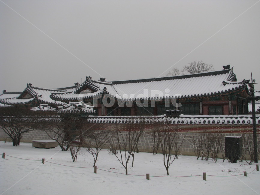 궁궐,경복궁,겨울,눈,한국,대한민국,겨울,계절,winter,season,한국전통,한국문화,korean traditional,korean culture,랜드마크,landmark,tourist attraction,한국랜드마크,한국관광지,한국명소,korea landmark,korea tourist attraction,건축물,건물외관,exterior,building,structure,architecture,construction