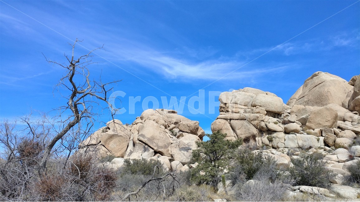 자연,풍경,사막,돌산,푸른하늘,죠슈아트리국립공원,켈리포니아,nature,desert,desertscape,rockymountains,bluesky,자연,풍경,nature,landscape,해외,외국,세계,foreign,oversea,world,세계자연풍경,해외자연풍경,외국자연풍경,world nature landscape,ground,바닥