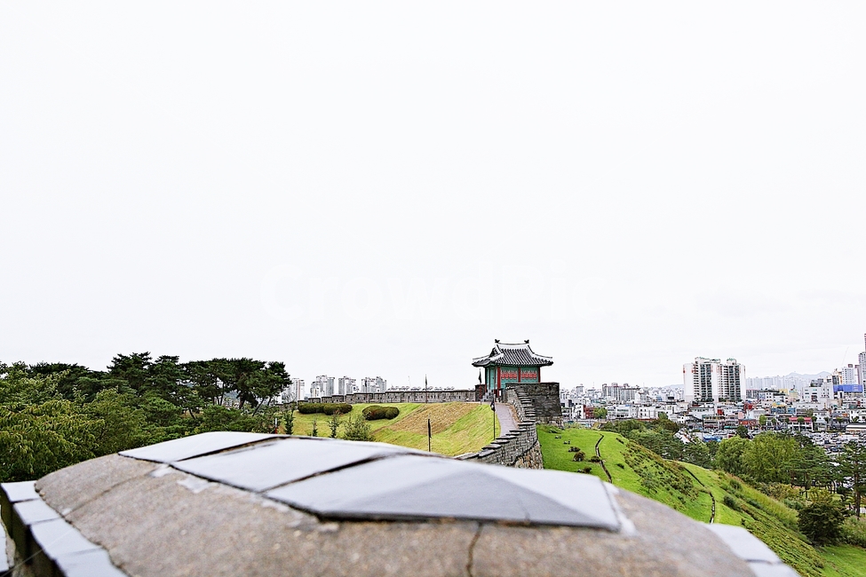 수원화성,성,성곽,길,둘레길,돌담,담,가을,자연,풍경,벽,방어벽,흙담,식물,전통,한국전통,한국문화,korean traditional,korean culture