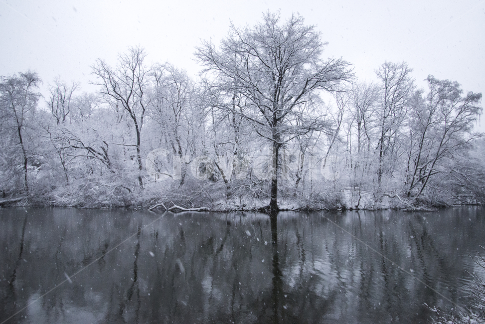 nature,자연,ice,빙,outdoors,눈,서리,frost,옥외,숲,뉴욕,호수,겨울,눈보라,forest,snow,winter,lake,park,central,cold