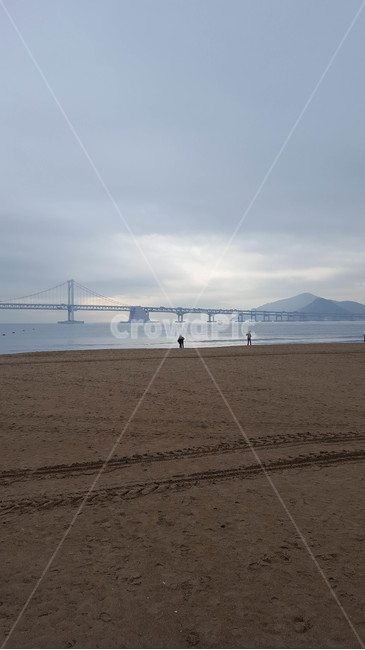풍경,바다,모래사장,다리,해무