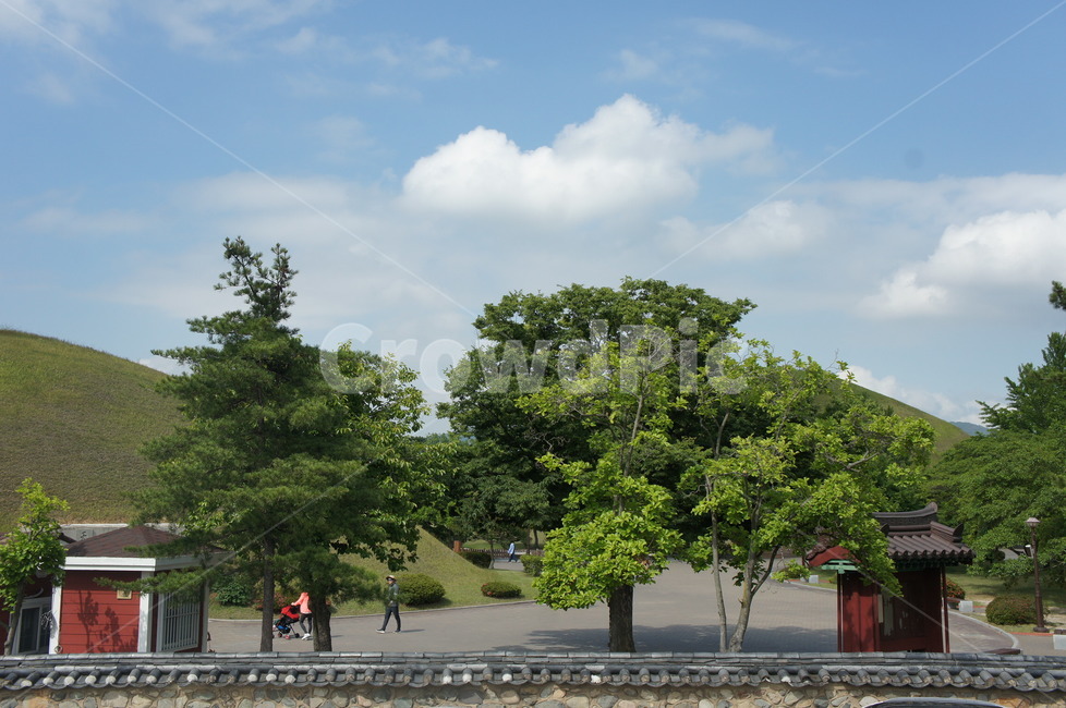 경주,풍경,하늘,가을하늘,나무,경주풍경,한옥,person,사람,human,인간,한국,대한민국