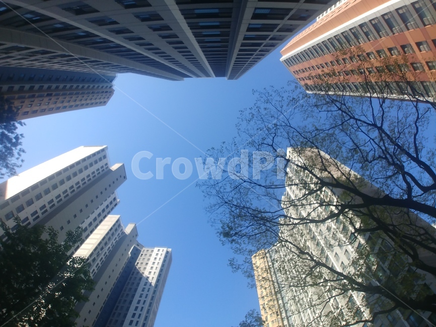 하늘,아파트,고층건물,building,도시,도시,풍경,city,landscape