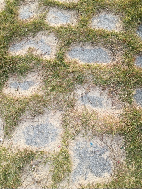 ground,바닥,돌,잔디,땅
