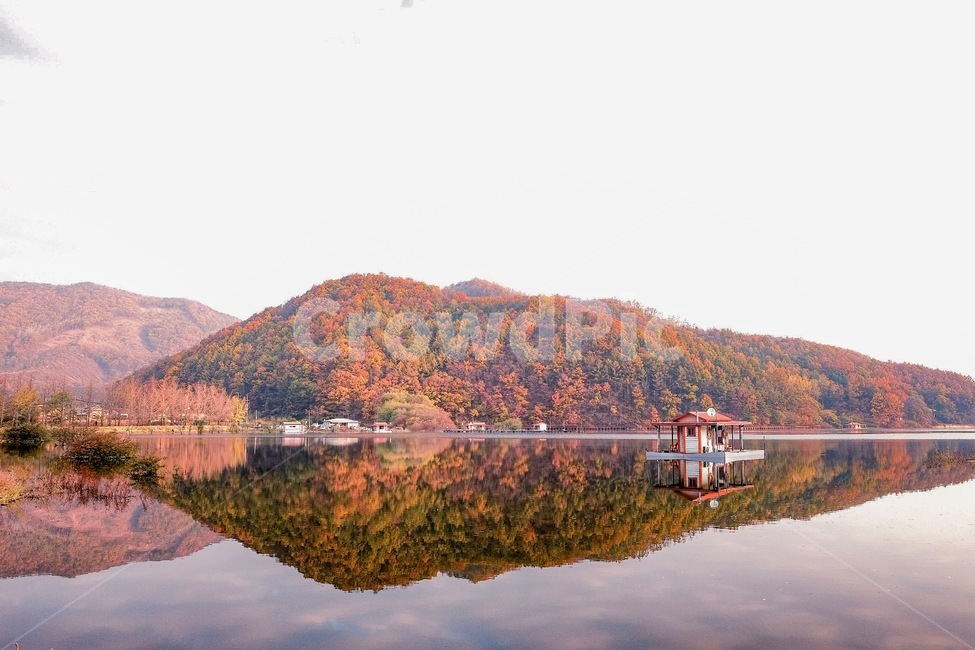 단풍,가을,강,자연,산,반영,강가,가을,계절,fall,autumn,season,자연,풍경,nature,landscape,한국자연풍경,한국자연경관,korea nature landscape,색깔,색상,색채,색감,color sense,color sensitivity,feeling of color,water,물,outdoors,옥외