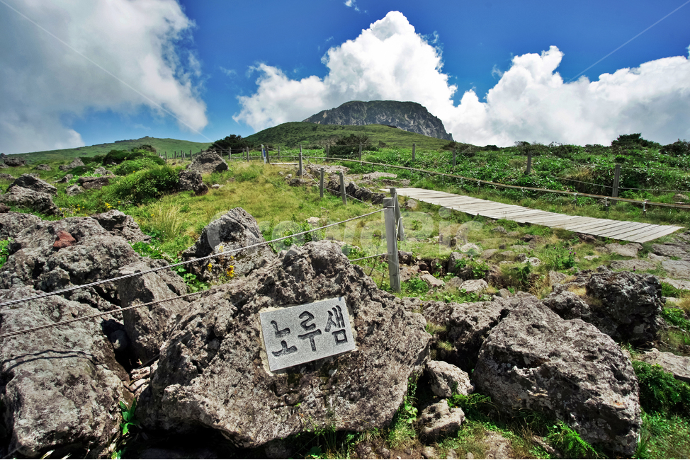 제주도,한라산,노루샘,윗세오름,명산,영실코스,자연,신록,계절,자연,풍경,nature,landscape,한국자연풍경,한국자연경관,korea nature landscape