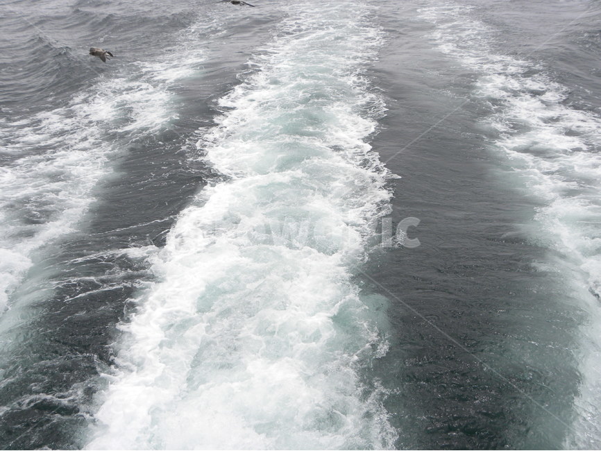 물보라,바다,물줄기,물흐름,물갈래,spray,flow,stream,자연,풍경,nature,landscape,ocean,대양,water,물,outdoors,옥외,sea