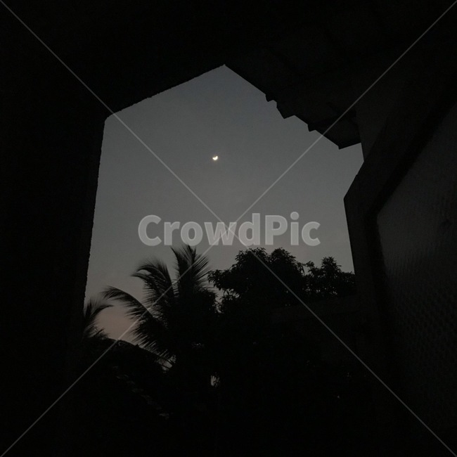 달,하늘,sky,밤,night,moon,야자수,창문밖,자연,풍경,nature,landscape,야경,밤,nightscape,night,flare,플레어,light,빛,outdoors,옥외