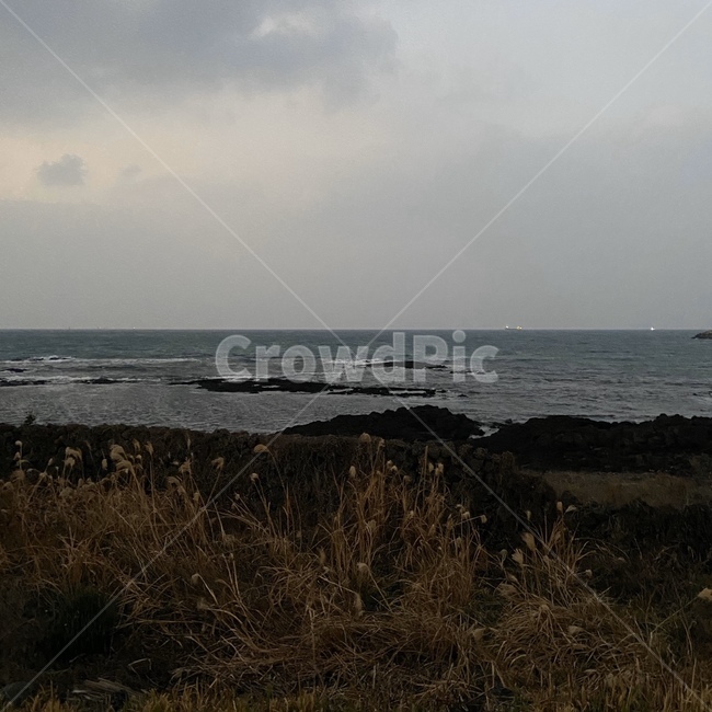 바다,겨울바다,밤바다,sea,갈대