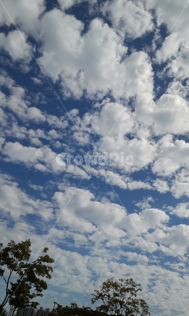 nature,자연,sky,하늘,구름,푸른하늘,멋진구름,탁트인하늘,전망,경관,장관,힐링,화창함,자연,풍경,nature,landscape,azure sky,푸른 하늘,outdoors,옥외