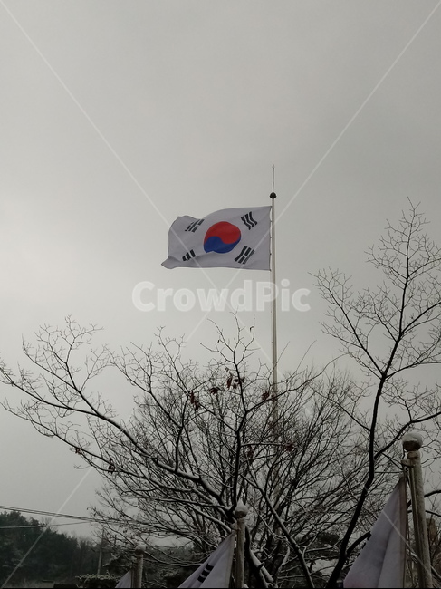 태극기,국기,깃발,flag,太極旗