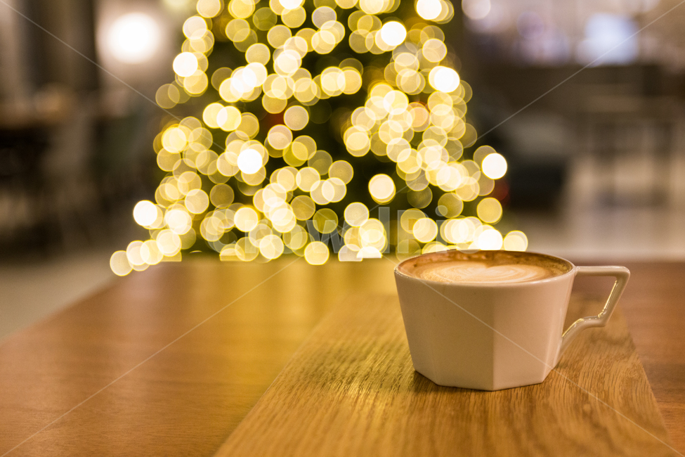 풍경,카페,보케,카페라떼,감성,커피,카페,coffee,cafe