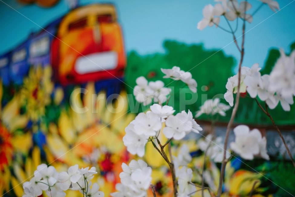 꽃,철도,벽화,조화,철로,기차,식물,자연,plants,nature,꽃,flower
