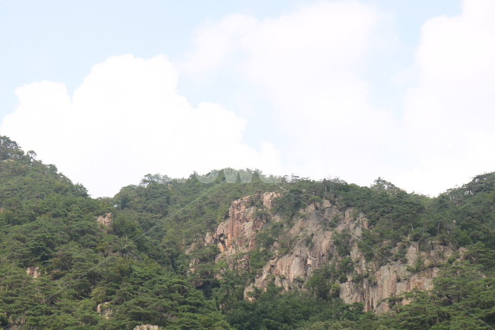 하늘,산,바위,나무,숲,구름