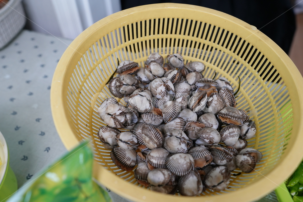 꼬막,조개,해산물,음식,식재료,먹거리,바구니,seashell,sealife,무척추동물,수산물,해산물,fishery products,seafood