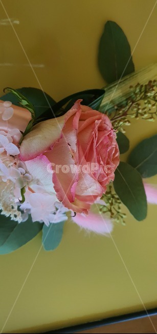 꽃다발,축하,생명,컬러,nature,hydrangea,birthday,colorful,background,decoration,day,florist,beautiful,arrangement,fresh,purple,festive,mix,wedding,decor,composition,top,botanic,holiday,concept,pink,present,bunch,plant,식물,blossom,flower,꽃,rose,장미