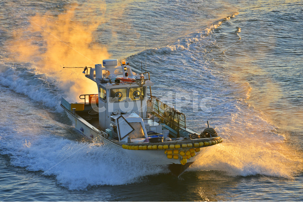 weather,날씨,nature,자연,outdoors,옥외,명선도아침,명선도멸치잡이배,멸치잡이배,어업,fishery,fishing industry