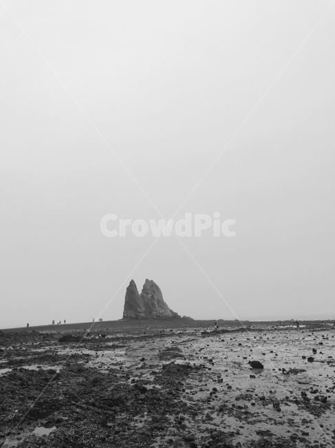 흑백,서해,바다,돌,시흥,겟벌,자연,풍경,nature,landscape,한국자연풍경,한국자연경관,korea nature landscape,흑백,모노톤,monochrome,black and white,ground,바닥,outdoors,옥외