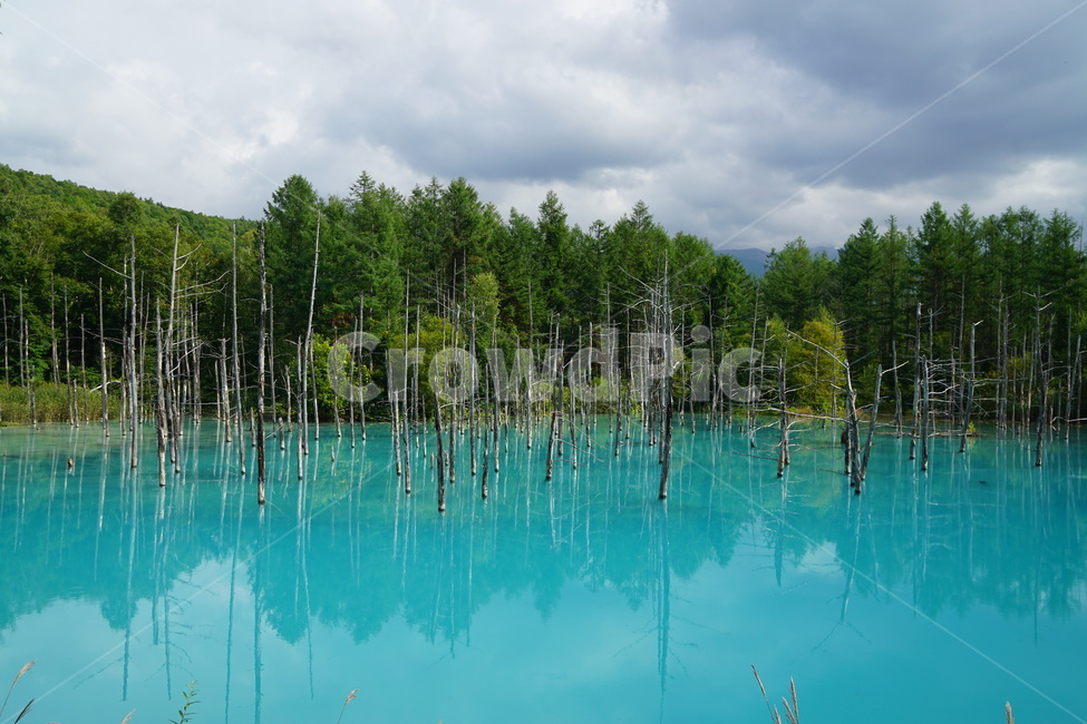자연,풍경,힐링,하늘,구름,자연,풍경,nature,landscape,water,물,outdoors,옥외,lake,호수