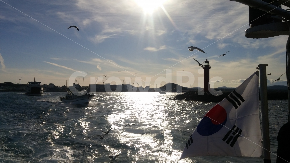 태극기,바다,물,배,갈매기,등대,lighthouse,산업,industry,industrial,어업,fishery,fishing industry,교통,교통수단,traffic,transportation,animal,동물,bird,새