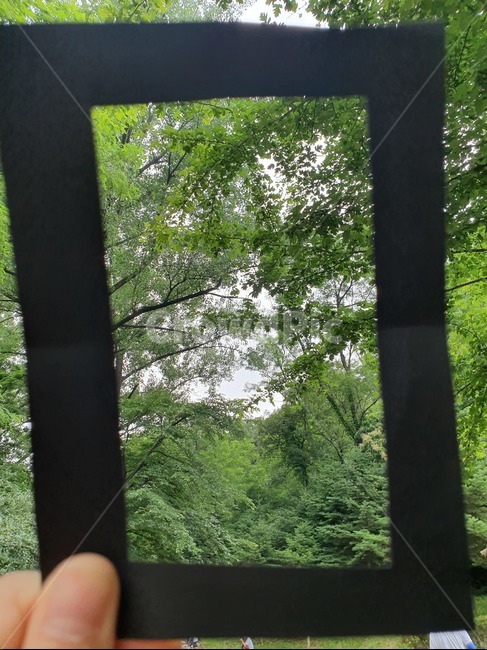 액자틀,산,풀,풍경,자연,나무,숲