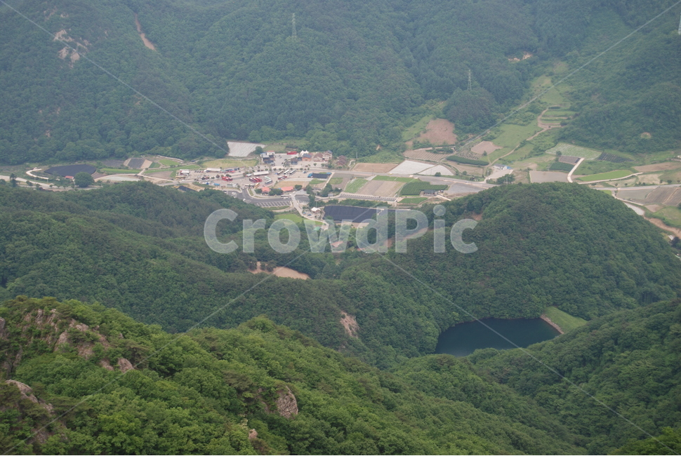 구봉산,휴양림,여름,들꽃,탐방로,등산로,자연,풍경,nature,landscape,시골,마을,country,rural,town,경치,outdoors,옥외,scenery,aerial view,조감도,slope,경사