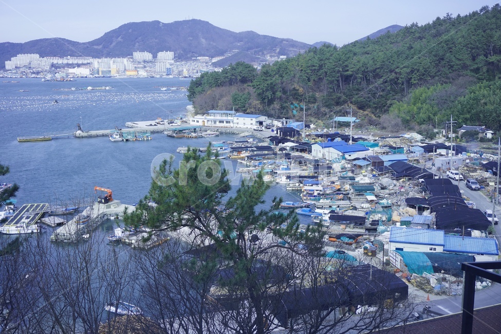 여수,겨울바다,여수바다,부두,어선,돌산대교,소나무,전경,시골,마을,풍경,landscape,country,rural,town