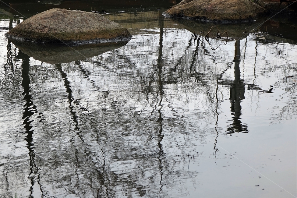 반영,나무,돌,그림자,shadow,pond,water,rock,trees,reflection,감성사진,감성,feeling,자연,풍경,nature,landscape,outdoors,옥외,물,land,땅