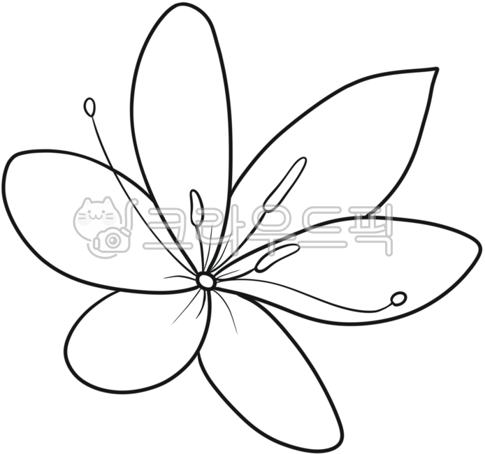 꽃,라인,식물,자연,꽃잎,일러스트,라인아트