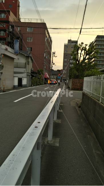 도로,street,asphalt,노을,아스팔트