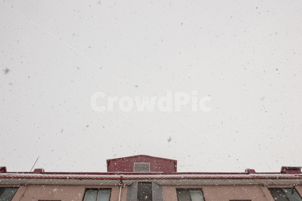 눈,겨울,집,풍경,snow,house,겨울,계절,winter,season