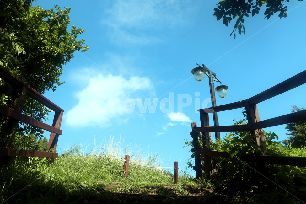 ppt,파란색하늘,파란색,하늘,가로등,풍경,산,풀,나무,등산로,자연,nature,sky