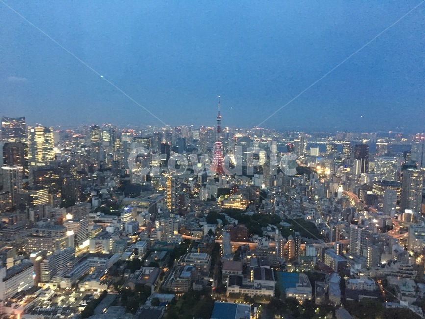 야경,하늘,저녁,타워,도쿄,일본,도쿄타워,네온