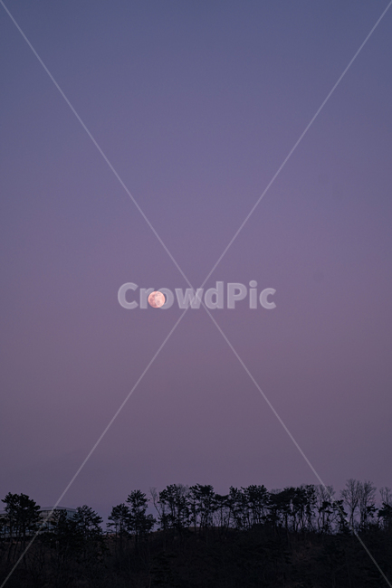 moon,nature,정월대보름,대보름,보름달,야경,밤,풍경,nightscape,night,landscape