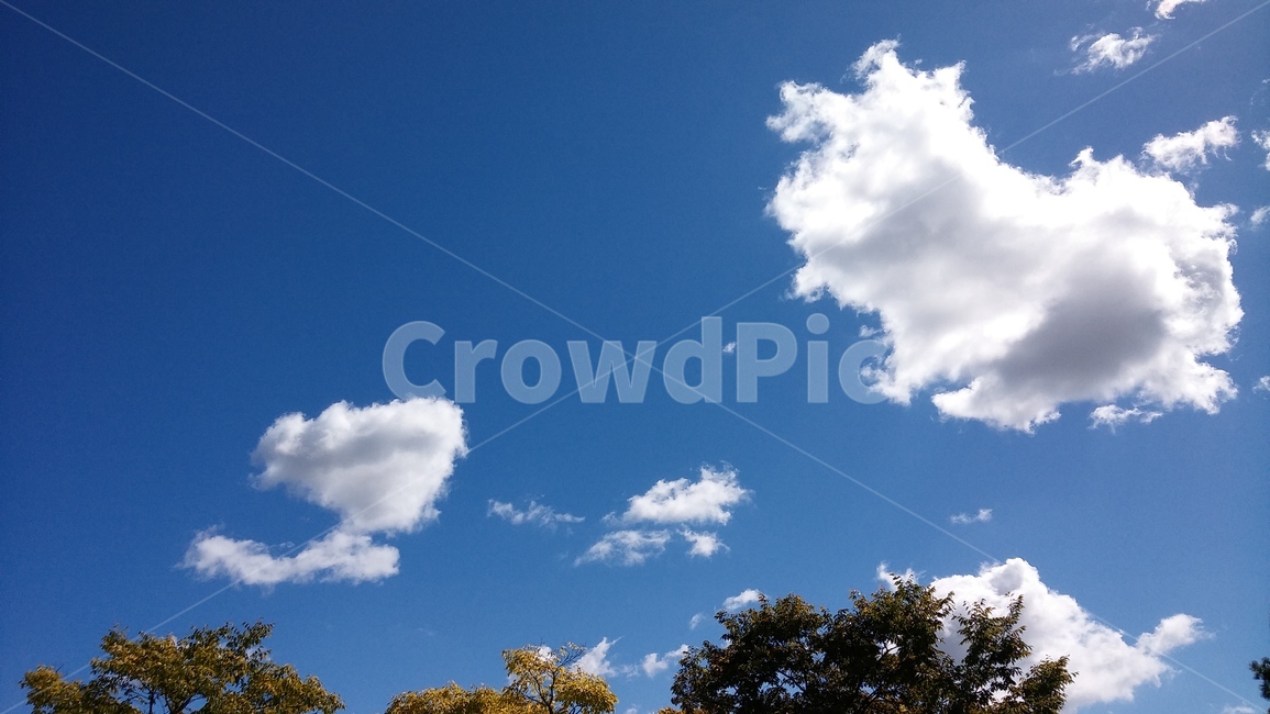 weather,날씨,nature,자연,cloud,구름,sky,하늘,힐링,맑음,청명,자연,풍경,nature,landscape
