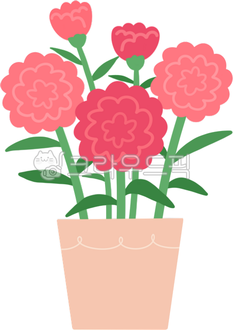 카네이션,어버이날,스승의날,감사,가정의달,꽃,5월,빨간카네이션,카네이션화분