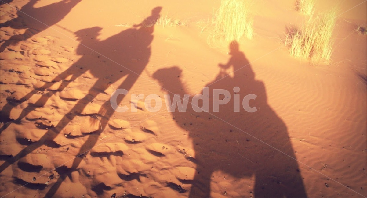사막,사하라,모로코,여름,낙타,모래,그림자,여행자,desert,sahara,morocco,camel,traveler,tourist,summer,자연,풍경,nature,landscape,해외,외국,세계,foreign,oversea,world,세계자연풍경,해외자연풍경,외국자연풍경,world nature landscape,실루엣,그림자,silhouette,shadow,soil,흙