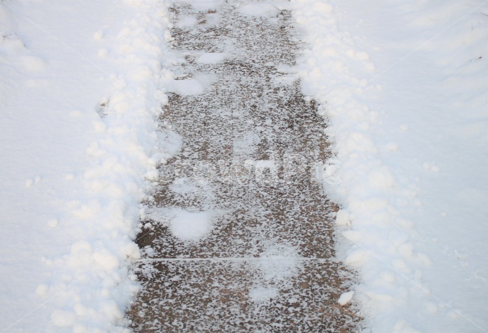 도로,겨울,눈,풍경,겨울도로,겨울,계절,winter,season