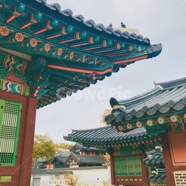 한국,한옥,한국전통풍경,한국랜드마크,한국전통,창경궁,경복궁,한국전통,한국문화,korean traditional,korean culture,랜드마크,landmark,tourist attraction,한국랜드마크,한국관광지,한국명소,korea landmark,korea tourist attraction,건축물,건물외관,exterior,building,structure,architecture,construction