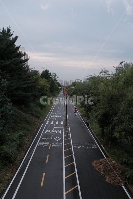 탄천,길,자전거도로,도로,나무,교통,교통수단,traffic,transportation