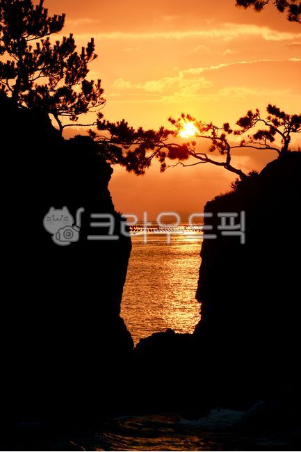 nature,자연,outdoors,옥외,sunlight,햇빛,flare,플레어,light,빛,sky,하늘,dawn,새벽,redsky,붉은하늘,해남땅끝맨섬일출,해남땅끝,맨섬일출,해남맨섬일출,소나무,솔섬,해돋이,바다,해안가