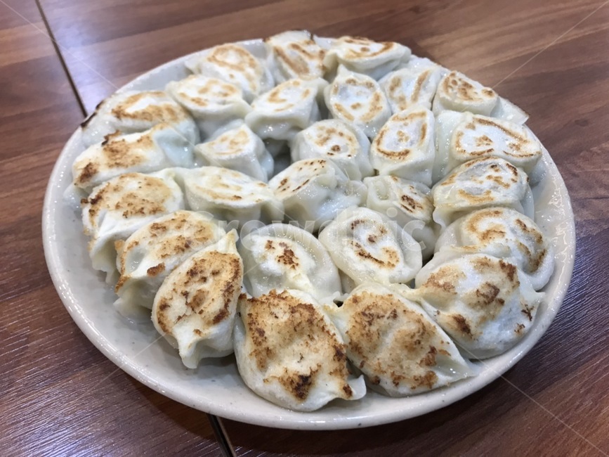 dish,요리,meal,식사,food,음식,중국음식,군만두,만두,구운만두,frieddumpling,음식,식재료,요리,food,cook,meal,dishes,food reserves