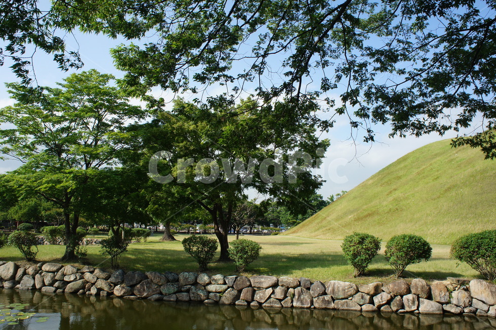 경주,경주풍경,풍경,연못,정원,water,물,nature,자연,outdoors,옥외,pond,못,한국,대한민국