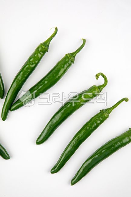 고추,농업,농작물,수확,재배,농산물,채소,vegetable,food,hotpepper,음식,음식,식재료,요리,food,cook,meal,dishes,food reserves
