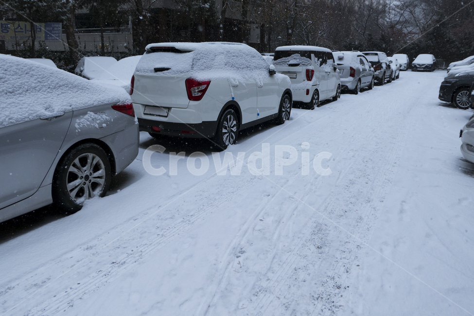 주차장,야외,자동차,차,승용차,눈,겨울,폭설,화이트,사이드미러,정렬,겨울,계절,winter,season,교통,교통수단,traffic,transportation,vehicle,차량,automobile,car,wheel,바퀴,machine,기계,nature,자연